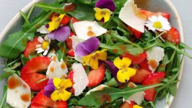 gänseblümchen essen