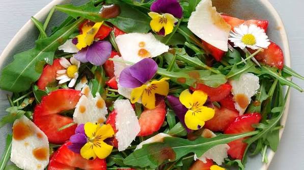gänseblümchen essen